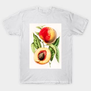 Hand drawn apricot peach T-Shirt